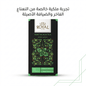 ROYAL MINT BLACK TEA - Jamaly